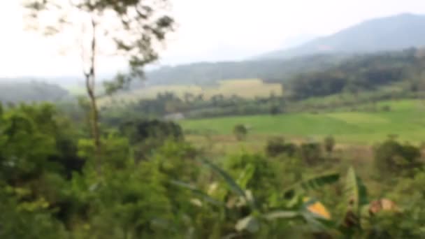 西ジャワの山の頂上からの眺め — ストック動画