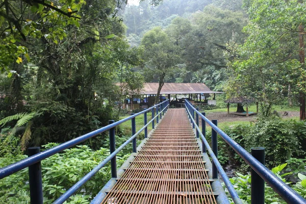 Niebieski Żelazny Most Środku Lasu — Zdjęcie stockowe
