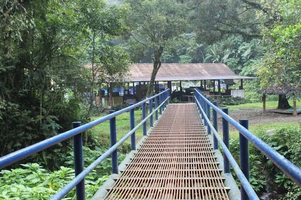 Jembatan Blue Iron Tengah Hutan — Stok Foto