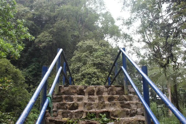 Jembatan Blue Iron Tengah Hutan — Stok Foto