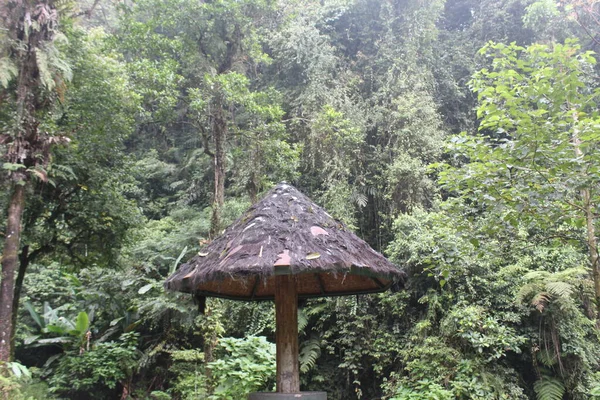 Rumah Kecil Hutan Barat Java — Stok Foto