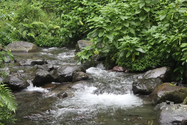 Pietre Nel Fiume Nella Java Occidentale — Foto Stock