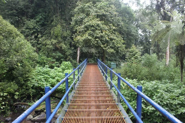 Ponte Ferro Blu Mezzo Alla Foresta — Foto Stock