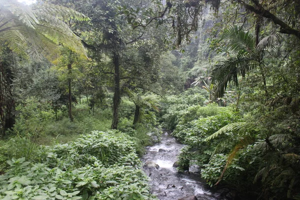 Stenen Rivier West Java — Stockfoto