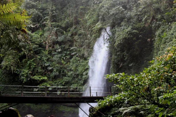 Cascade Dans Forêt Tropicale Verte Java Ouest Indonésie — Photo