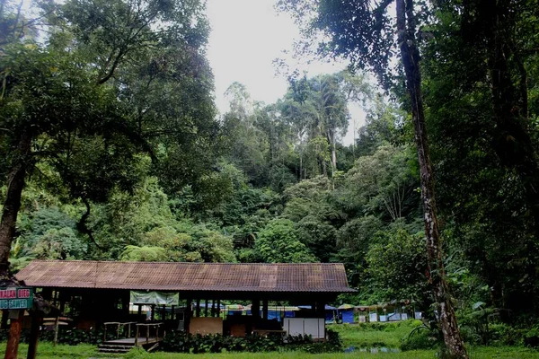 Lunga Casa Nella Foresta Nella Java Occidentale — Foto Stock