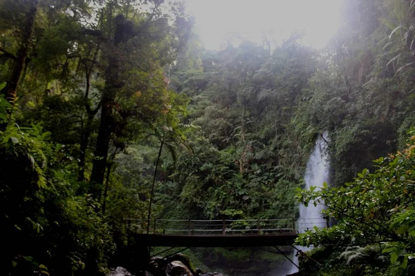 印度尼西亚西爪哇热带绿色森林中的瀑布 — 图库照片