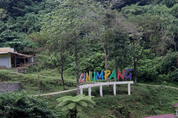 Cinumpang Ogród Pole Namiotowe Zachodniej Indonezji Java — Zdjęcie stockowe