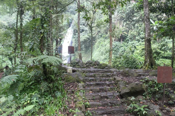 西ジャワ州の熱帯緑の森の滝 インドネシア ストック画像