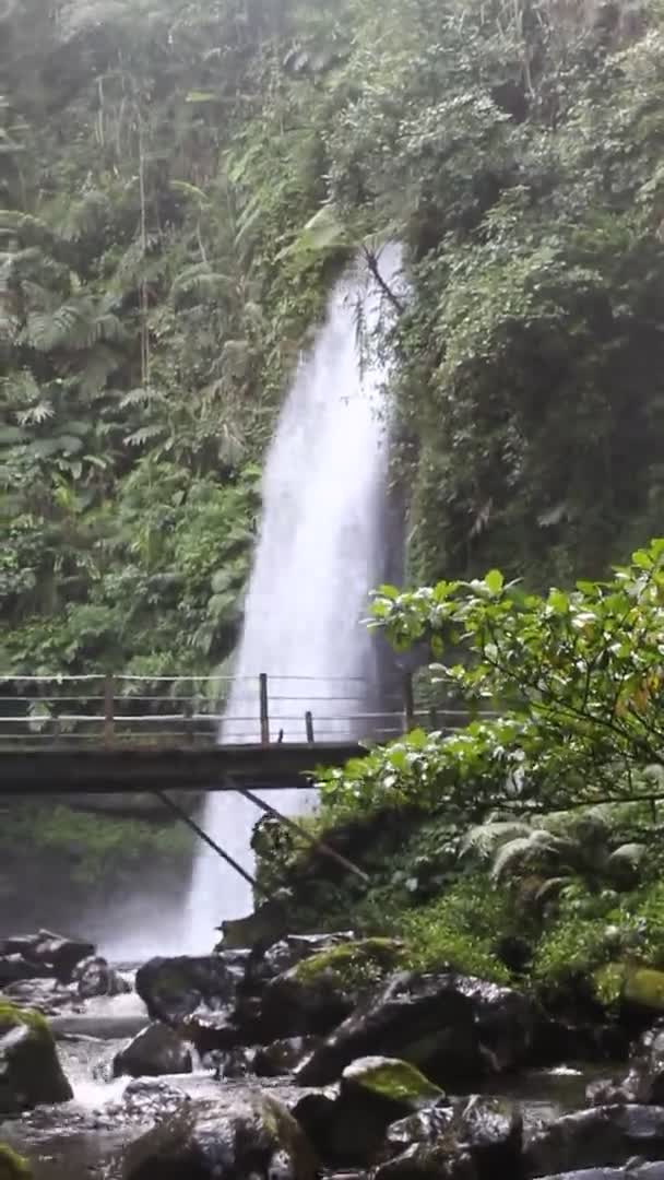 Cascada Bosque Verde Tropical Java Occidental Indonesia — Vídeos de Stock