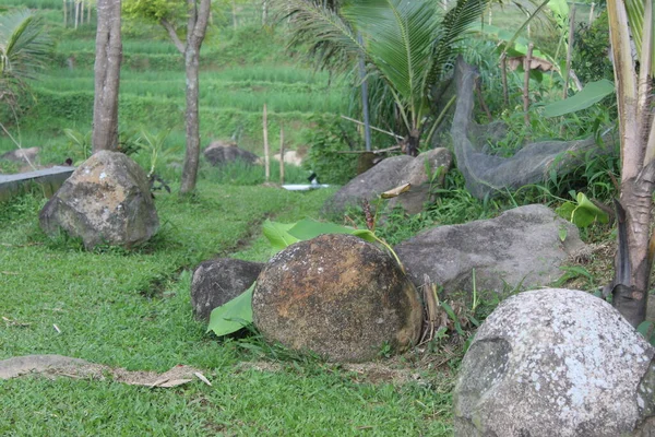 Scenario Naturale Dall Indonesia Bella Destinazione Asia — Foto Stock