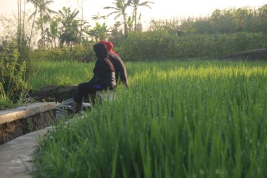 Kadın yeşil pirinç tarlasında oturuyor. Kırsal kesimin güzel manzarası, pirinç tarlası ve dağ manzarasına bakan genç kadın, tahta balkonda oturan, pirinç tarlası bulanık arka planda, HDR Tahıl Tarlası tarzında birkaç mutlu bebek var..