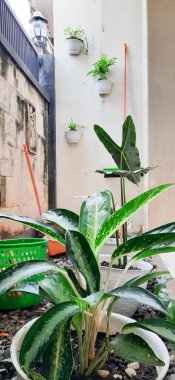 Evin önüne çiçek dikin. Evin önündeki bahçe. Güzel bir evin dış ve ön kapısının manzarası