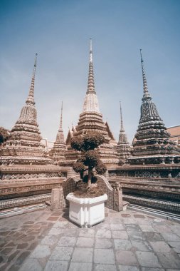 Binalar ve güneşli bir gün boyunca Bangkok Wat Pho Tapınağı'nda pek çok süslü chedis sanatı. Landmark Tayland. 