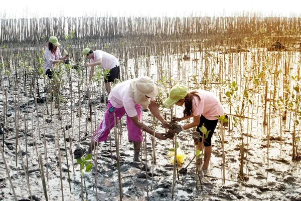 Samut Prakan Tailandia Marzo 2011 Voluntarios Tailandeses Identificados Todas Partes —  Fotos de Stock