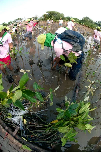 Samut Prakan Thailand Maart 2011 Thaise Ongeïdentificeerde Vrijwilligers Uit Alle — Stockfoto