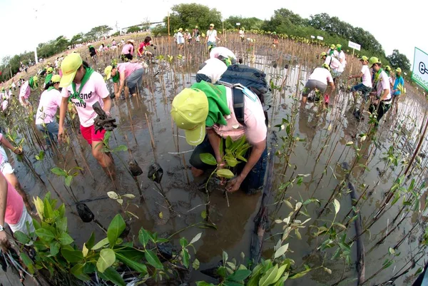 Samut Prakan Thailand Martie 2011 Voluntari Thailandezi Neidentificați Din Toate — Fotografie, imagine de stoc