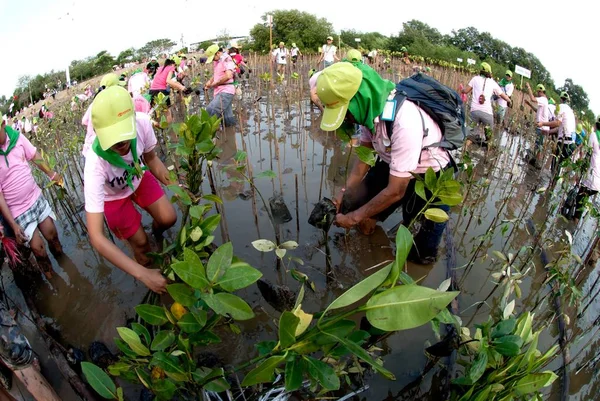 Samut Prakan Thaiföld 2011 Március Thai Azonosítatlan Önkéntes Minden Része — Stock Fotó