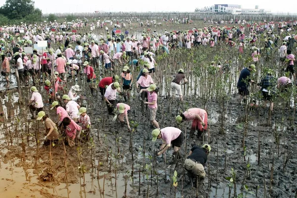 ทรปราการ ประเทศไทย นาคม 2011 อาสาสม ครไทยท ระบ วตนจากท มโลก างานเก — ภาพถ่ายสต็อก