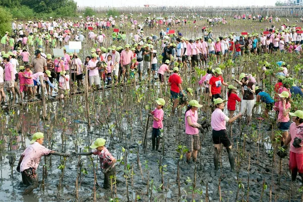 Samut Prakan Thailand Maart 2011 Thaise Ongeïdentificeerde Vrijwilligers Uit Alle — Stockfoto