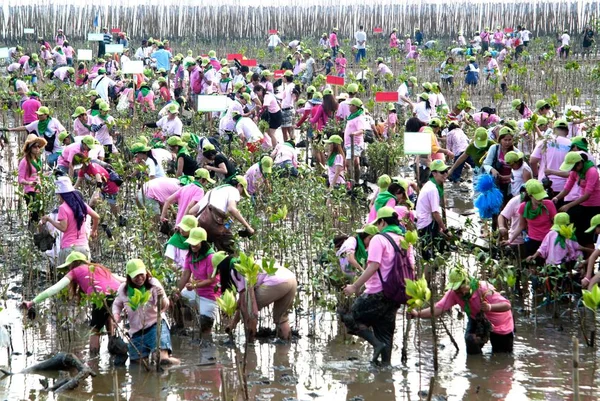 Samut Prakan Tailandia Marzo 2011 Voluntarios Tailandeses Identificados Todas Partes — Foto de Stock