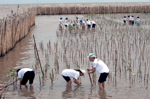 Samut Prakan Thaiföld 2012 Július Thai Azonosítatlan Önkéntes Minden Része — Stock Fotó