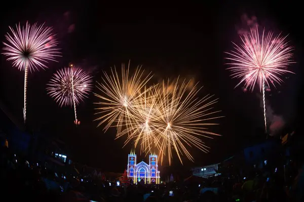 Vue Célébration Feux Artifice Noël Sur Jour Noël Cathédrale Immaculée — Photo