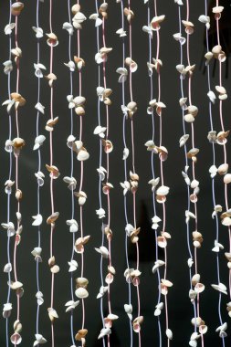 Güzel seashell bina için asılı mobil dekore edilmiş.