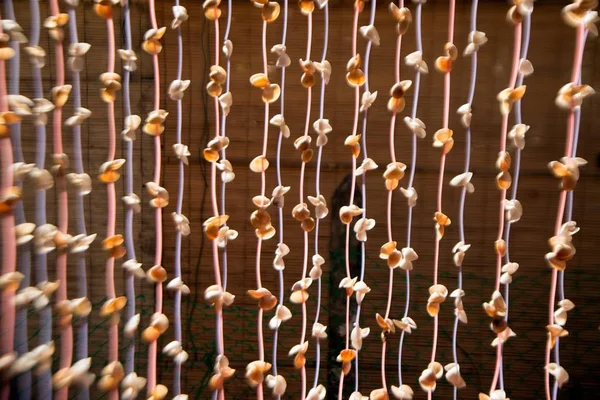 Beautiful Seashell Mobile Hanging Building Decorated — Stock Photo, Image