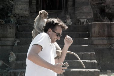 Monkey sticks on the shoulders of tourists and caresses the hair. clipart