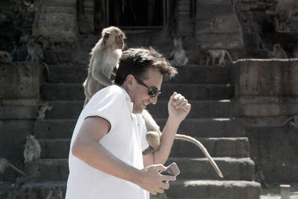 Monkey sticks on the shoulders of tourists and caresses the hair.