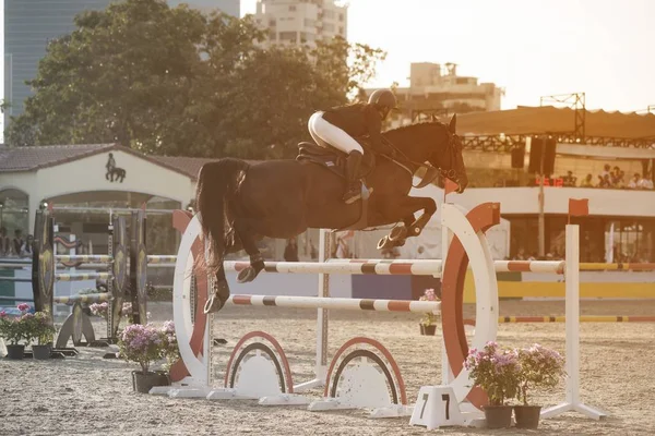 一位骑着马的年轻女骑师跳过障碍。马术运动比赛. — 图库照片