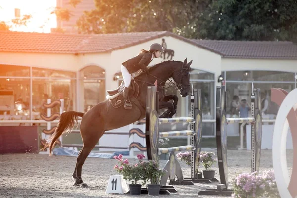 Uma jovem mulher jóquei em um cavalo executa um salto através da barreira. Competições no desporto equestre . — Fotografia de Stock