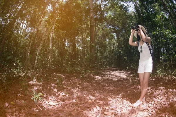 Jolie femme asiatique regardant à travers les jumelles un bonheur dans la forêt . — Photo