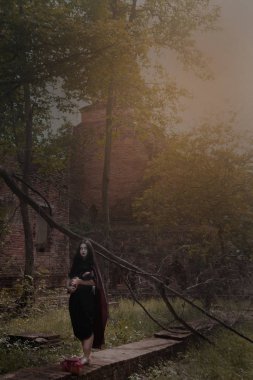 Tarih görünür geleneksel kostüm Antik Tay hayalet. Tay geleneksel stil elbise teklik, tipik Tay elbise giyen kadın, Hayalet, Cadılar Bayramı kadın ve şeytan kadın kavramı. 