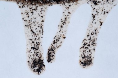 Kumsalda yağ emici kağıt. Kumsaldaki ham petrolü kaplamak için kullanılır..