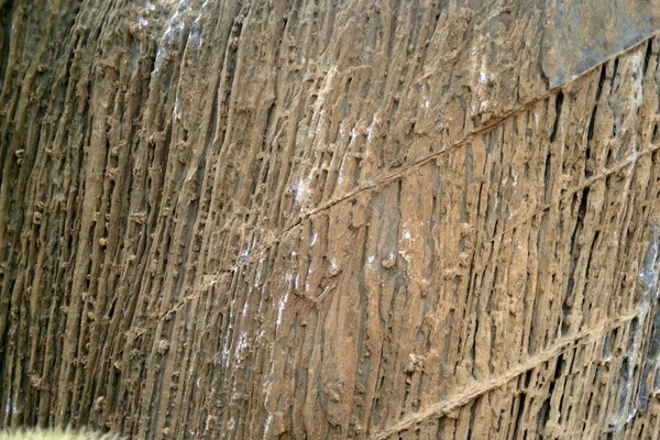 岩の背景の質感 興味深い自然パターンを持つ変成岩 — ストック写真