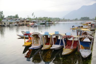 SRINAGAR, INDIA - 10 Mayıs 2019: Yerel halk Dal Gölü 'nde ulaşım için Shilara' yı (küçük bir tekne) kullanır. Srinagar 'ı ziyaret eden turistler için en cazip yer..