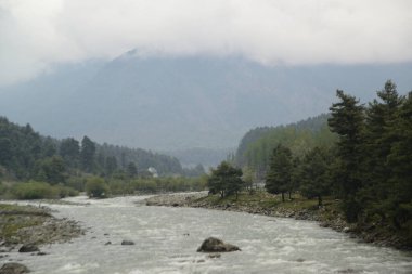 Liddar Nehri, Hindistan 'ın Kashmir kentindeki güzel bir turist kasabası olan Pahalgam' dan akar.