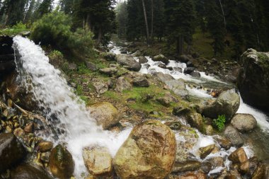 A waterfall cascades down a cliff face during heavy rains, creating a picturesque scene in Pahalgam, a place surrounded by lush pine forests in Jammu and Kashmir, India.