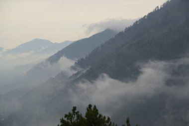 The Himalayas, shrouded in mist, create a beautiful view from Pahalgam, a place surrounded by lush pine forests in Jammu and Kashmir, India.