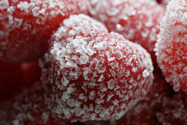 Gefrorene Erdbeeren Aus Der Nähe — Stockfoto