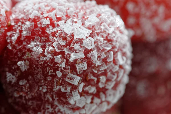 Cerca Fresas Congeladas — Foto de Stock