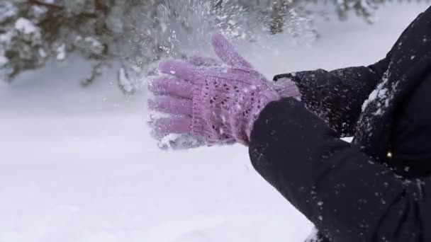 女人从冬季针织手套上抖落雪 — 图库视频影像