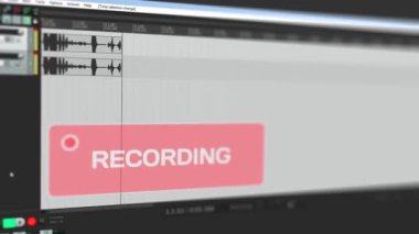 Bilgisayarda ses kaydının dalga biçimini stereo parçasına taşır