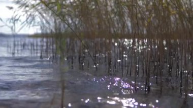 Göl suyu kıyı ağır çekim