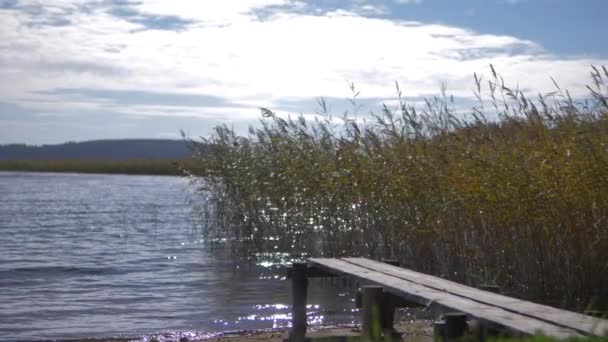 湖水海岸缓慢运动 — 图库视频影像