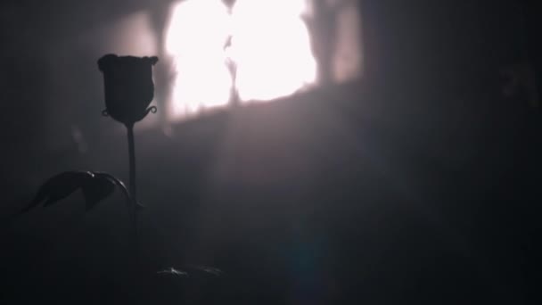Lucrarea Unui Fierar Crescut Trandafir Metal Razele Soarelui Fereastră — Videoclip de stoc