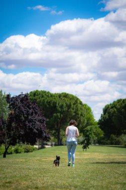 Güzel Yorkshire 'lı genç bir kadın çimen ve ağaçlarla dolu bir bahçede poz veriyor ve sempatik bir şekilde oynuyor..