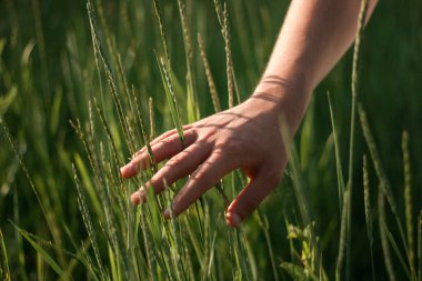 Adamın eli taze yeşil çimenlere değdi.